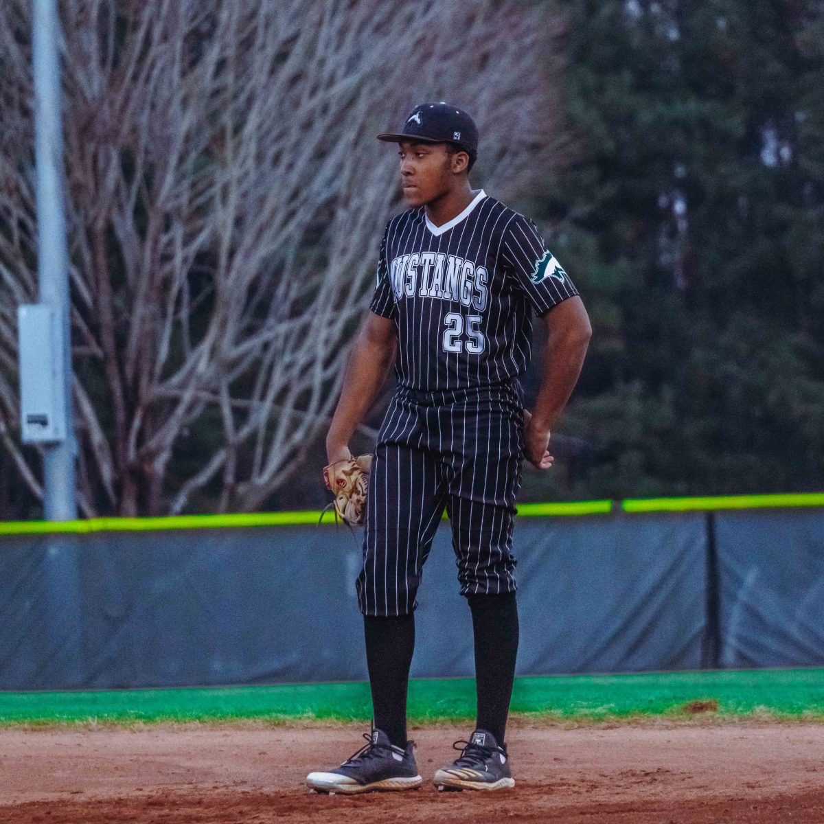 Willie_Prince_Kennesaw_Mountain_baseball.133